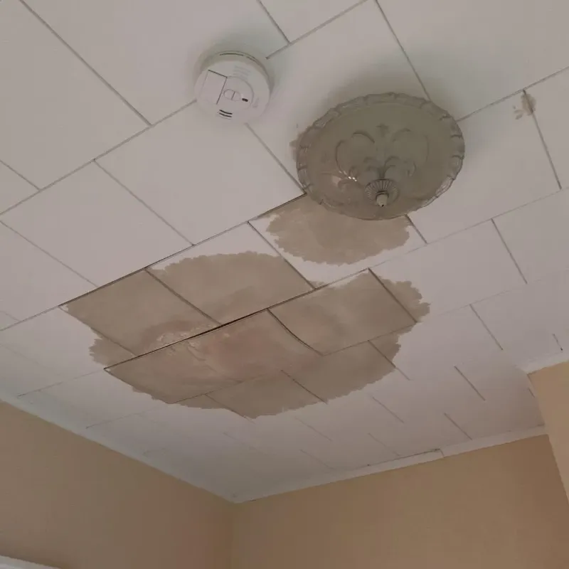 Ceiling Water Damage Repair in Acushnet, MA