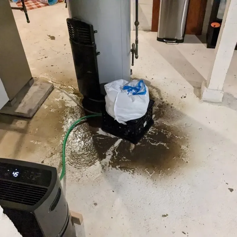 Sewage Backup Cleanup Service in Acushnet, MA